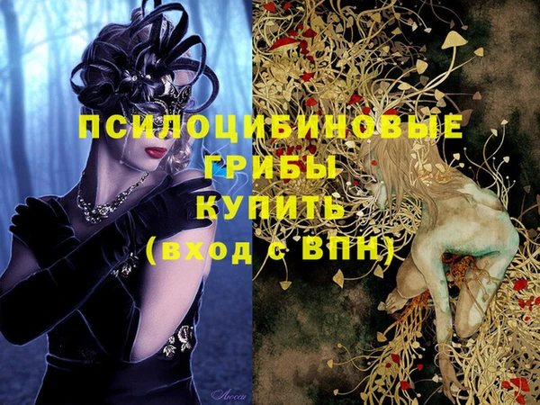 2c-b Алексеевка