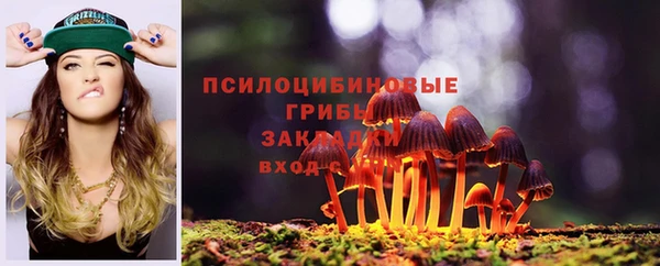 спайс Алзамай