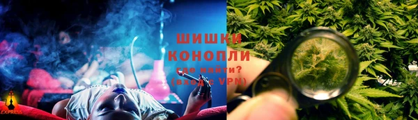 спайс Алзамай