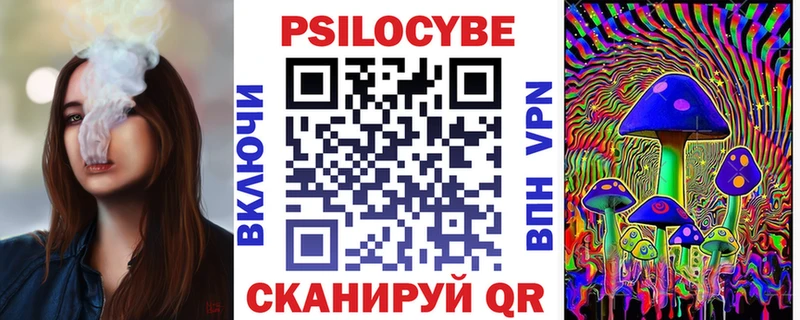 Псилоцибиновые грибы Psilocybine cubensis  Петровск-Забайкальский 